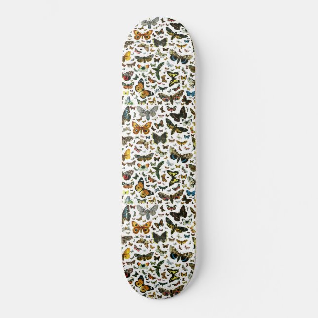 Vorlage Skateboard (Vorderseite)