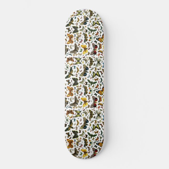 Vorlage Skateboard (Vorderseite)