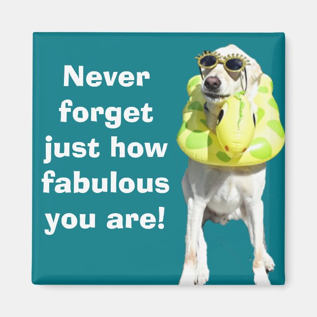 vornehm magnet (Vorne)