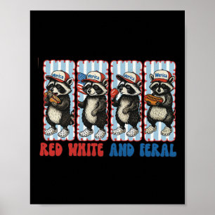 Vornehm rotes Weiß und wild lustiger Waschbär 4. J Poster
