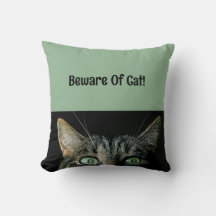 Vorsicht beim Katzenklatschen