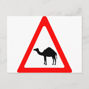 Vorsicht, Camel überquert Verkehrszeichen Postkarte
