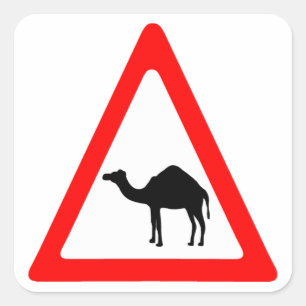 Vorsicht-Kamel-Überfahrt-Verkehrszeichen Quadratischer Aufkleber