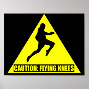 Vorsicht: MIXED MARTIAL ARTS fliegende Knie/ Muay  Poster