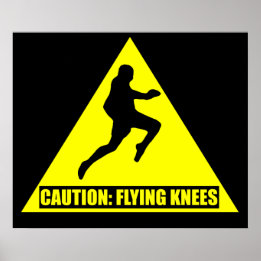 Vorsicht: MIXED MARTIAL ARTS fliegende Knie/ Muay  Poster