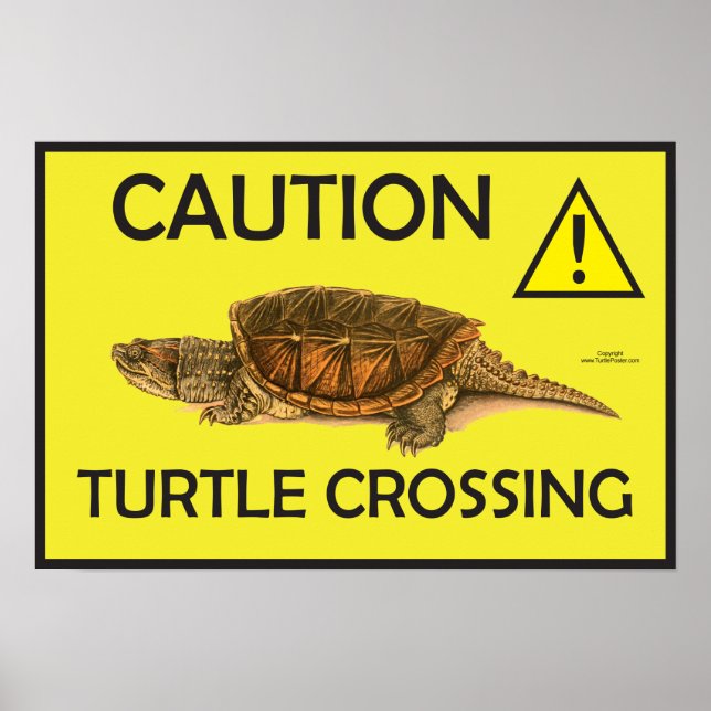 Vorsicht Schnappschuss Schildkröte Crossing Poster (Vorne)