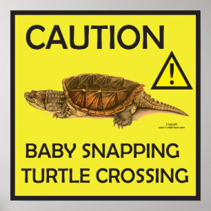 Vorsicht Schnappschuss Schildkröte Crossing Poster