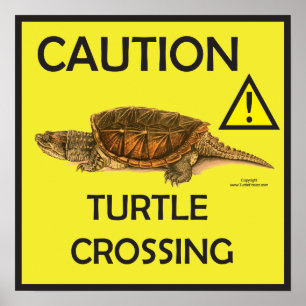 Vorsicht Schnappschuss Schildkröte Crossing Poster