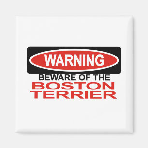 Vorsicht vor Boston Terrier Magnet
