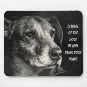 Vorsicht vor dem Hund, Haustier Foto Mousepad