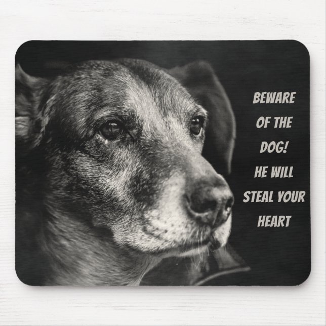 Vorsicht vor dem Hund, Haustier Foto Mousepad (Vorne)
