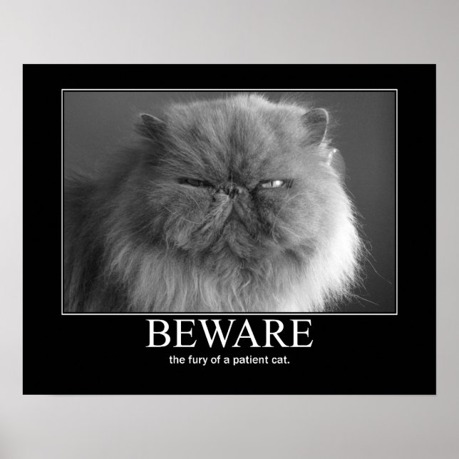 Vorsicht vor dem Zorn eines geduldigen Katzen-Kuns Poster (Vorne)