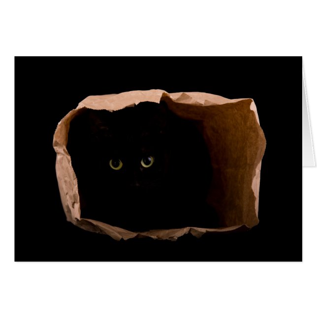 Vorsicht vor der Angriffskatze! (Vorderseite (Horizontal))