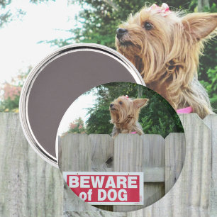 Vorsicht vor der Niedlichen Yorkie Magnet