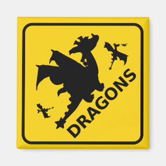 Vorsicht vor Drachen, die das Zeichen warnen Magnet