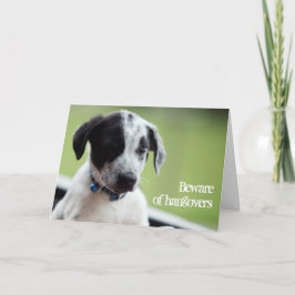 Vorsicht vor Kater Karte