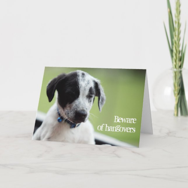 Vorsicht vor Kater Karte (Vorderseite)