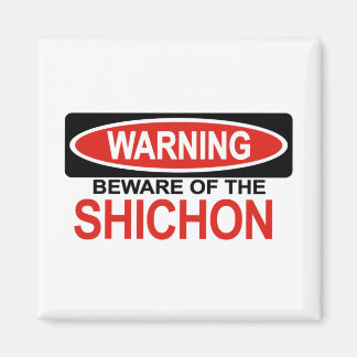 Vorsicht vor Shichon Magnet