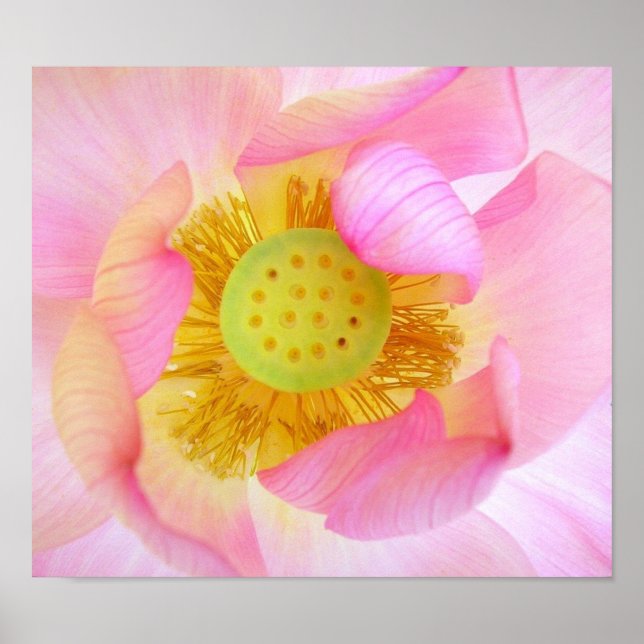 vorsichtig bewacht poster (Vorne)