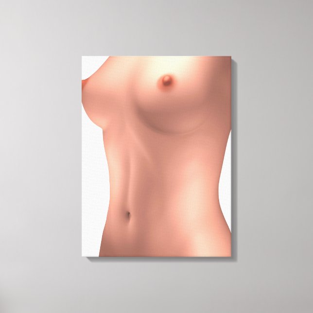 Vorstellung von Torso von Frauen Leinwanddruck (Vorderseite)