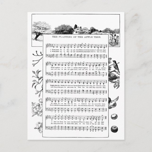 Vorteile des Apfelbaums Lied Postkarte (Vorderseite)