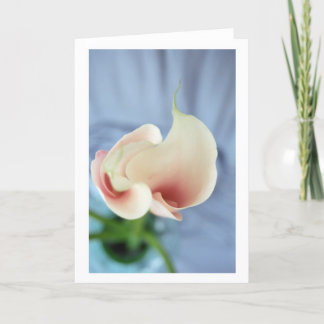 Vortex White Calla Lily Art Foto Mitteilungskarten