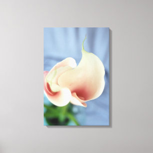 Vortex White Calla Lily Leinwand Blumen Printmedie