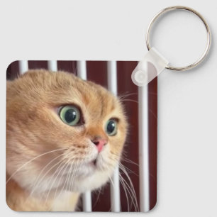 Vortrag Katzen Meme Doppelseitiger Schlüsselanhäng Schlüsselanhänger