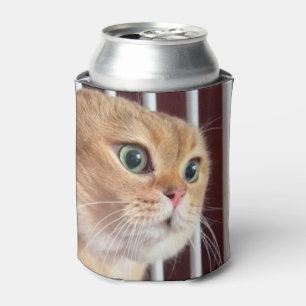 Vortrag Katzen Meme Doppelseitiges Schwarzes Dosenkühler