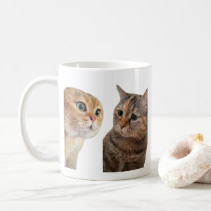 Vortrag Katzen Meme Tasse doppelt