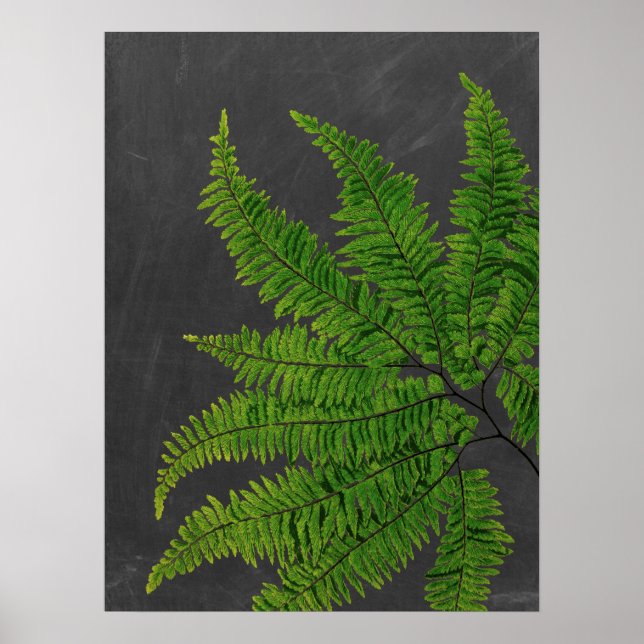 Vorzeichen mit Zwischenablage/Zwischenablage Nr. 5 Poster (Vorne)