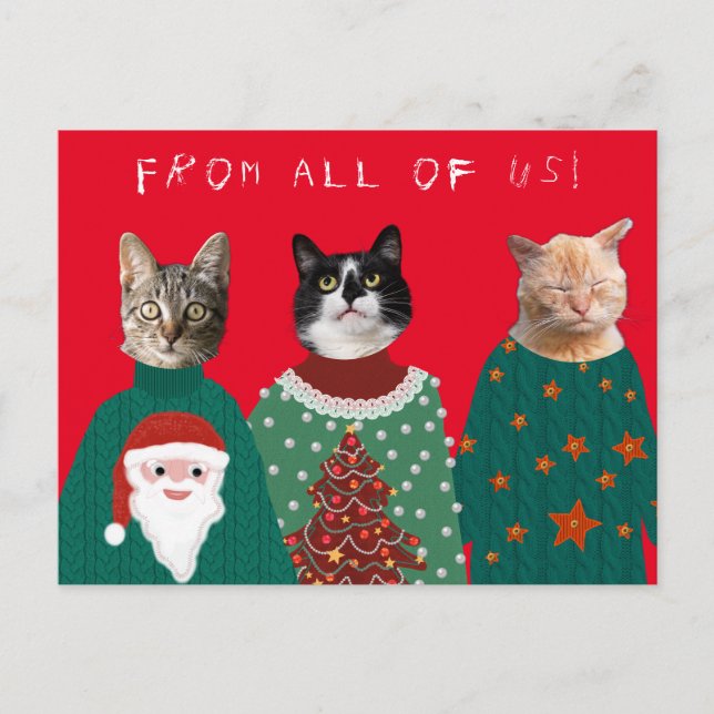 Vos 3 chats dans les affreux pulls de Noël Carte p (Devant)