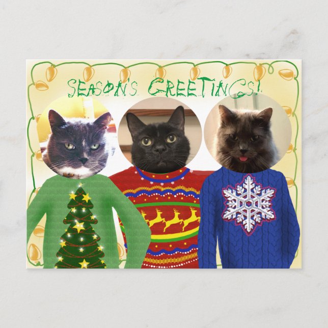 Vos 3 chats dans une carte postale de Noël moche (Devant)