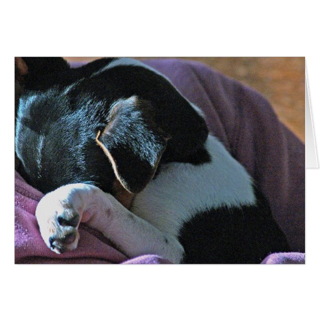 VOS PENSÉES (Devant horizontal)