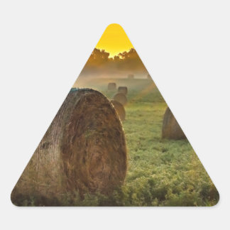 Vos Stickers Triangle Personnalisés