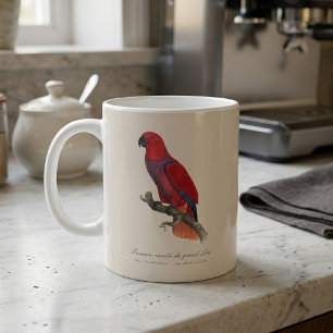 Vosmaer-Edelpapagei, Eclectus roratus vosmaeri Kaffeetasse