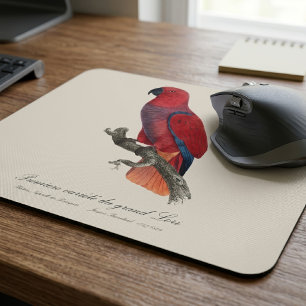 Vosmaer-Edelpapagei, Eclectus roratus vosmaeri Mousepad