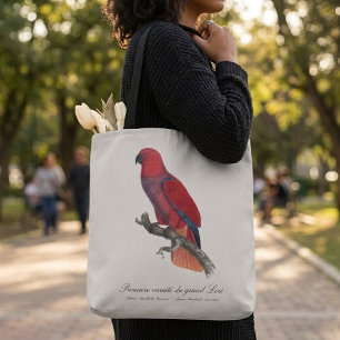 Vosmaer-Edelpapagei, Eclectus roratus vosmaeri Tasche