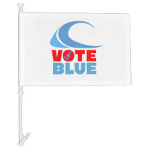 VOTER BLEU