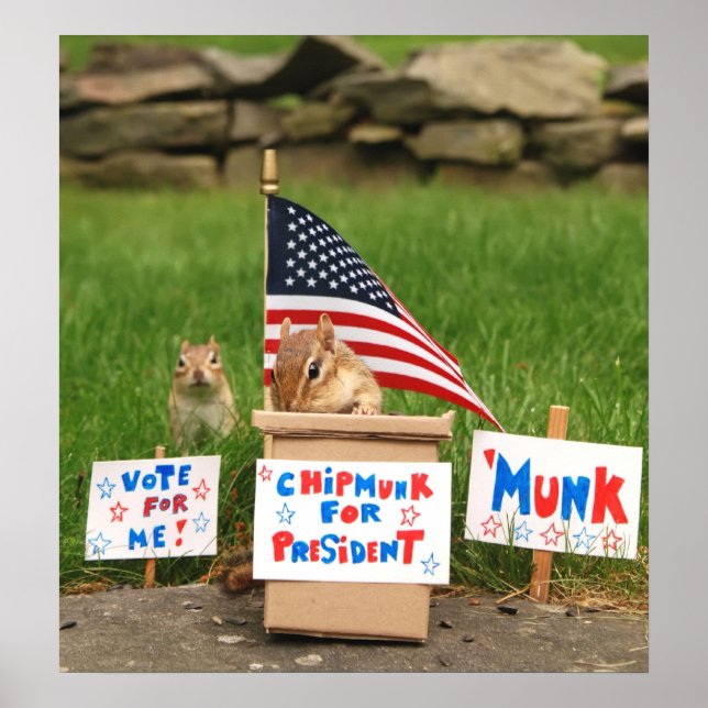 Votez 'Munk ! Affiche (Devant)
