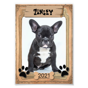 Votre animal de compagnie - Modèle photo décoratif