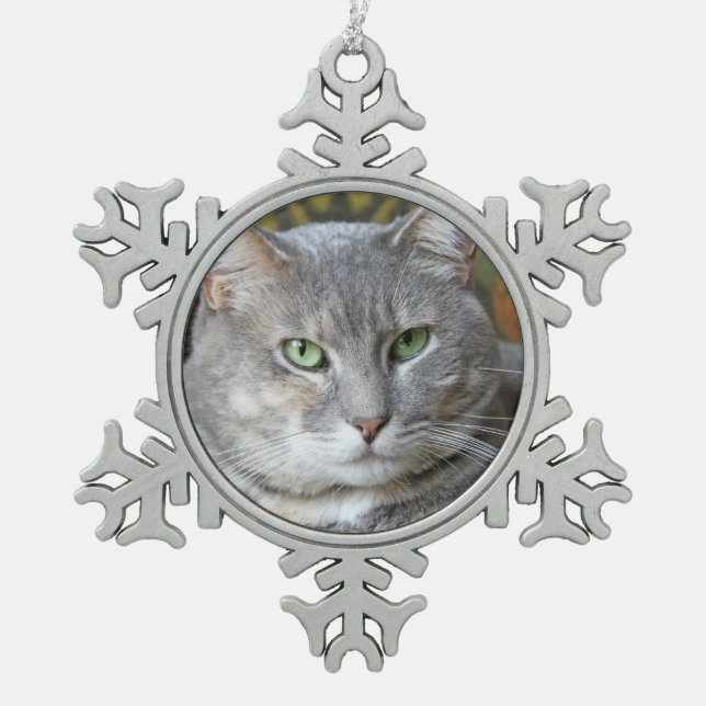 Votre animal de compagnie photo Snowflake Ornement (Devant)