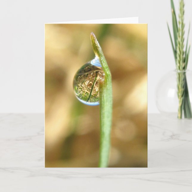 Votre carte à l'envers tournée par monde (Devant)