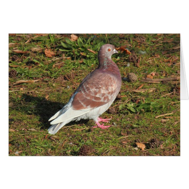 Votre carte de voeux personnalisée (Devant horizontal)