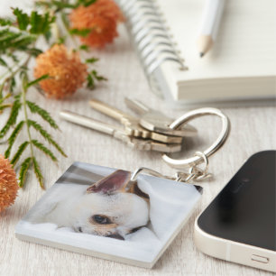 Votre chiot chien de compagnie photo personnalisée