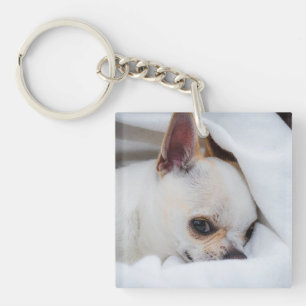Votre chiot chien de compagnie photo personnalisée