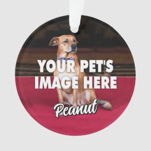 Votre photo de chien