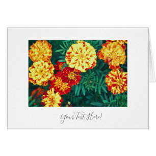 Votre texte Carte de vœux Fleurs de souci magnifiq