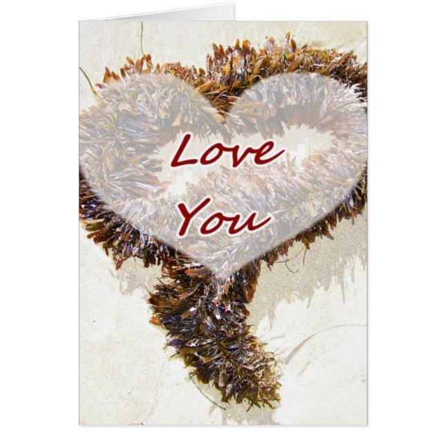 Vous aimez_ (Devant)