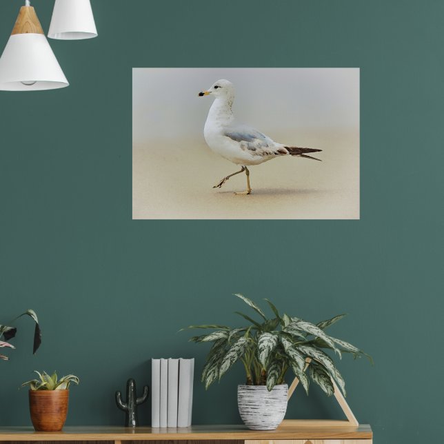 Vous Allez Gull Sea Gull Beach Art Poster (Salon 1)